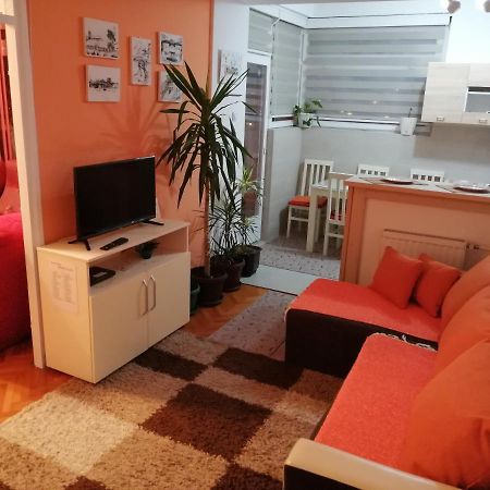 Apartman Dunja Vranje Eksteriør billede