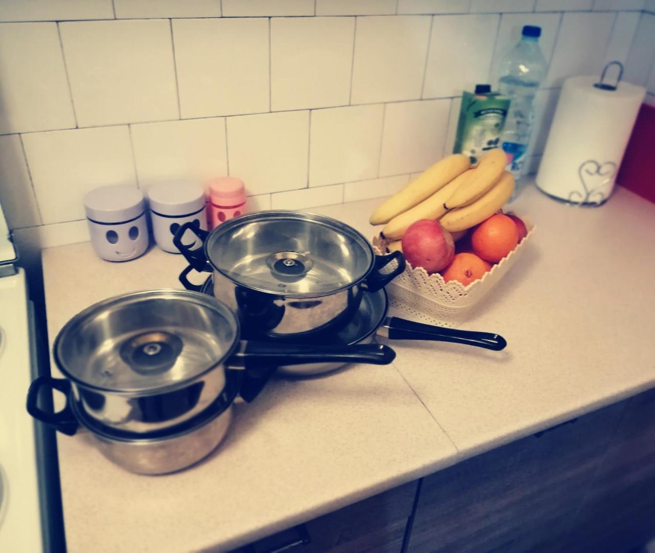 Apartman Dunja Vranje Eksteriør billede